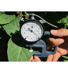 LS-3叶片厚度仪 精准测量植物健康的多功能工具